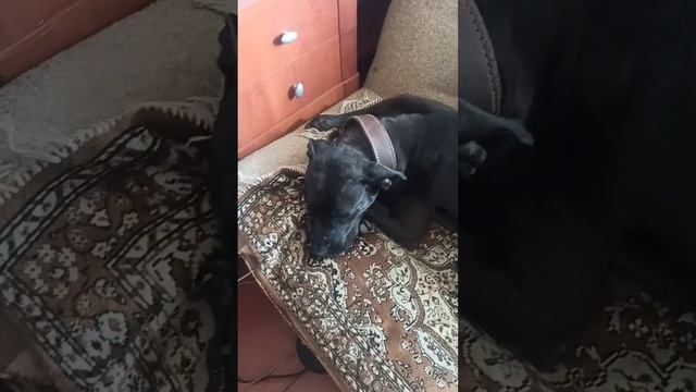 г Усолье-Сибирское Луначарского д45 Кв 135 т 89149281280 смотреть онлайн