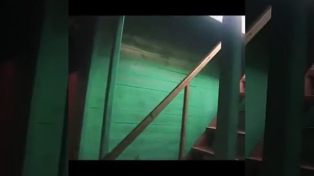 Обращение спортсменов из Канска к Путину смотреть онлайн