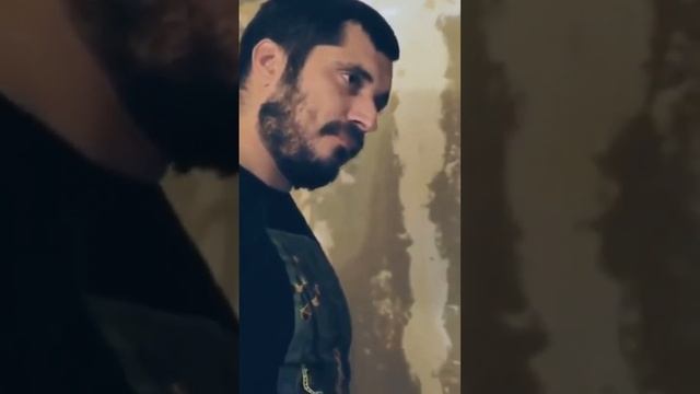 Обои с рыбками вместо аквариума смотреть онлайн