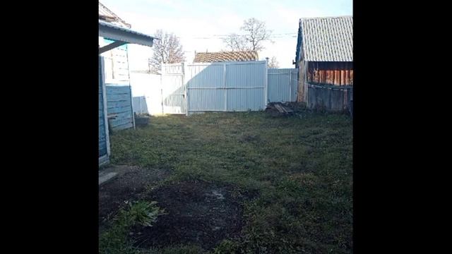 VID 20240106 WA0010 смотреть онлайн