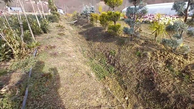 Капуста в Сочи смотреть онлайн