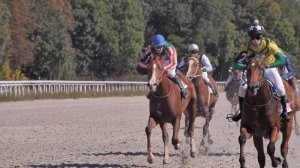 Канглы. Арсланбек Султанбеков