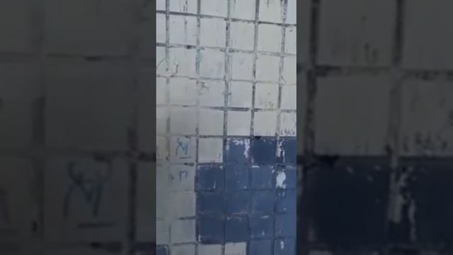Портреты знаменитостей в пиксельном формате на панельных квартирных домах. смотреть онлайн