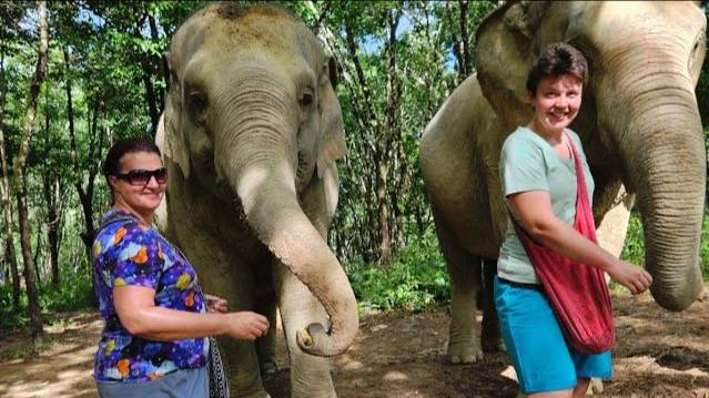 Догтренинг 736. Слоны в проекте Догтренинг