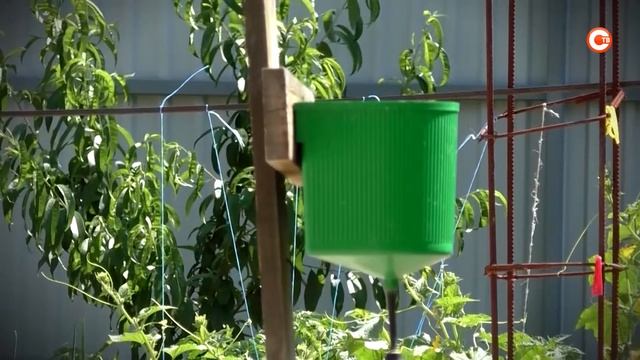 Имеем право. Выпуск 203