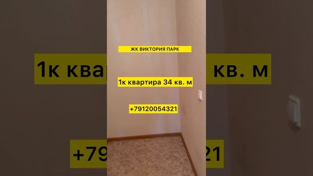 11 мая 2023 г. смотреть онлайн