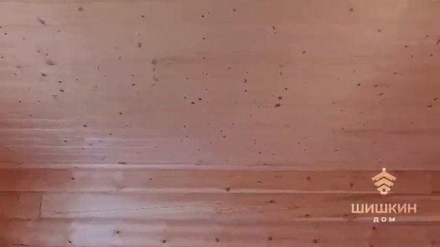 Шишкин дом смотреть онлайн