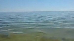 Скадовск.Пляж4 августа 2024.