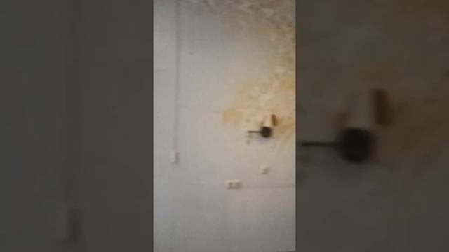 проспект Маршала Жукова 76к2 смотреть онлайн