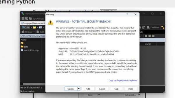 Setup Raspberry Pi zero W and run python scripts and servers