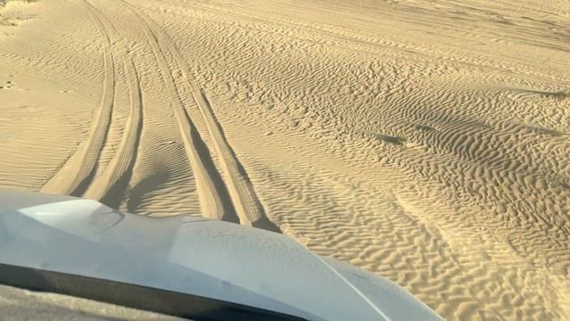 DESERT SAFARI @ WINTER | Riva Video057 смотреть онлайн