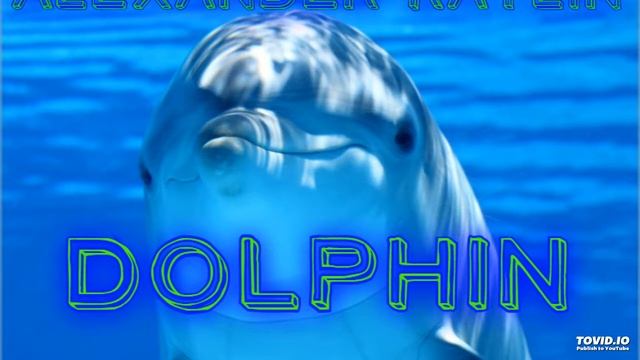 DOLPHIN (The Best Instrumental Music) (Музыка Снятия Стресса) смотреть онлайн