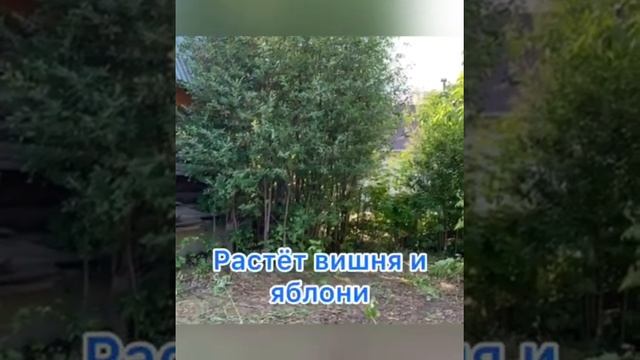 Дом СНТ Мичуринец г. Тюмень смотреть онлайн