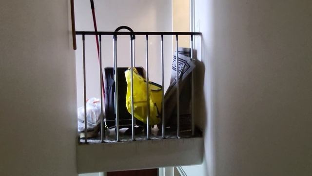 В нашем доме поселился замечательный сосед! Вечером убирался в квартире и выставил весь мусор... смотреть онлайн