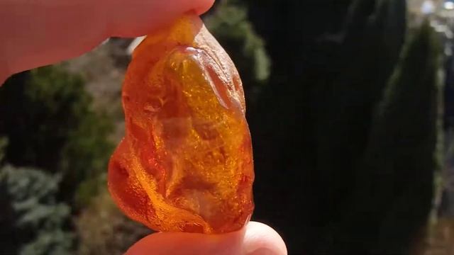 184697660386 BALTIC AMBER - Poland, Gdańsk Pomerania - EOCENE смотреть онлайн