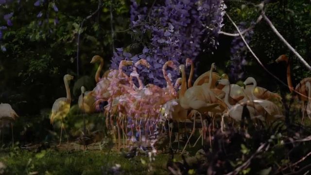 Когда мы с мужем построили за городом дом, свекровь обиделась, что мы не пригласили их на новоселье смотреть онлайн