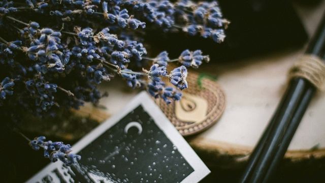 Лиса Улисса — Геолокация (читает Рин Лока)