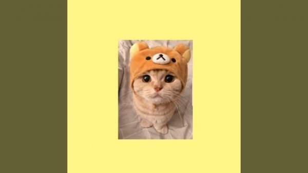 Песня чтобы почувствовать себя сильной;)