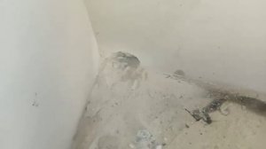 Вентиляция и приточка воздуха в доме! #вентиляциядома #вытяжка