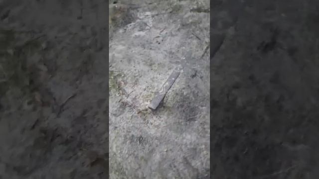 Что делает прусская рельса у моря? смотреть онлайн