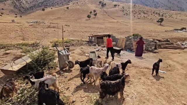 Courage And Resistance: Shahab's Journey To Healing After A Tragic Accident