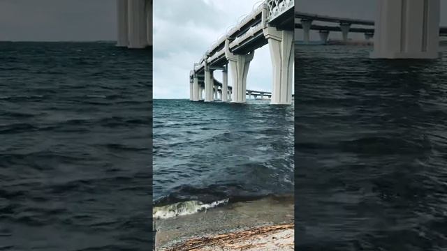 ЗСД. Канонерский остров. Санкт-Петербург. 2020г. Март. смотреть онлайн