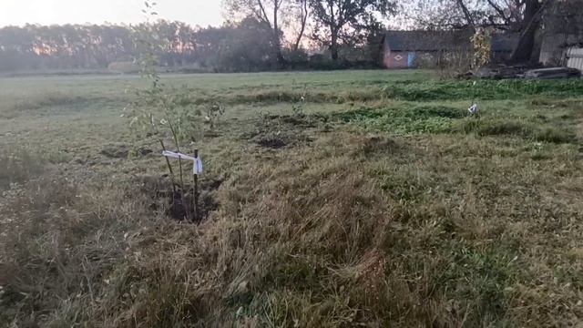 Первый приезд в деревню после покупки дома (часть 1) смотреть онлайн