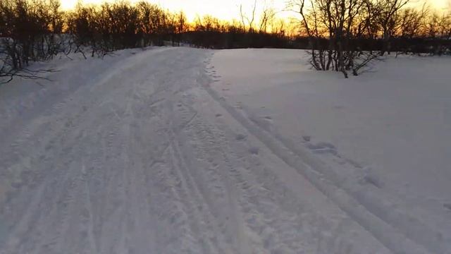 Лыжная трасса 05.02.2020г. Снежногорск смотреть онлайн
