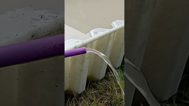 Поляны.Выборгский район. Абиссинская скважина смотреть онлайн