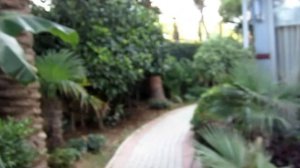 SunStar Beach Hotel 4*