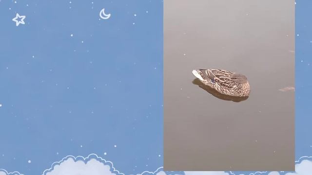 парк Солнечная🌞 смотреть онлайн
