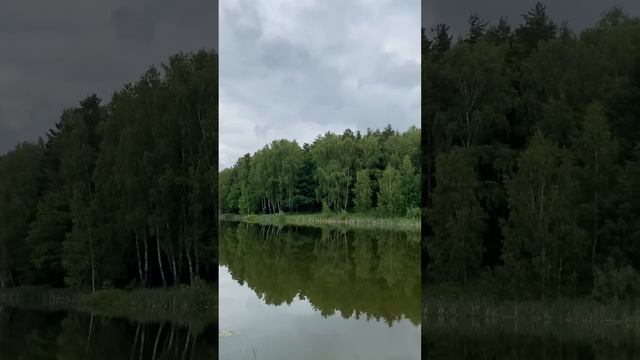 СДЕЛКА СОРВАЛАСЬ…РАССТРОИЛАСЬ, а ПОТОМ🤩 смотреть онлайн