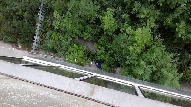 Лифт для кота Тишки часть2 смотреть онлайн