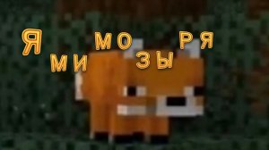 Лиса Мимозыря  Перезалив