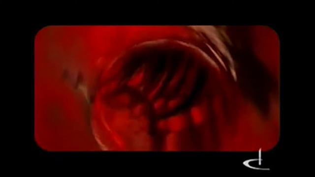 OLD SKULL. выпуск 22 смотреть онлайн