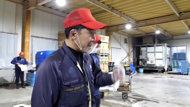 【福岡】早朝３時から始まる漁師メシ食堂の一日。衝撃コスパの寿司を求め常連殺到！ смотреть онлайн