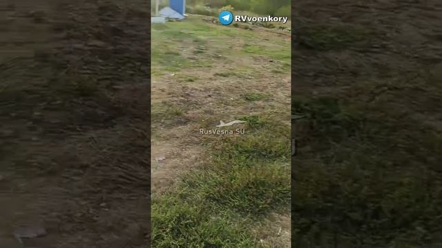 ⚡️СВО 18+ Мотострелки ВКС показали обстановку в освобожденной курской Ольговке смотреть онлайн