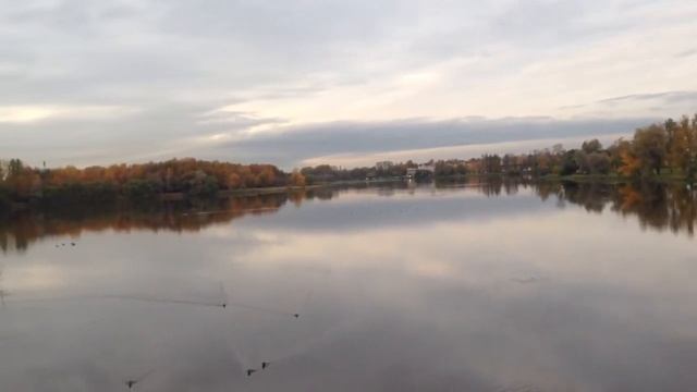 Колпино осенью с нового моста смотреть онлайн