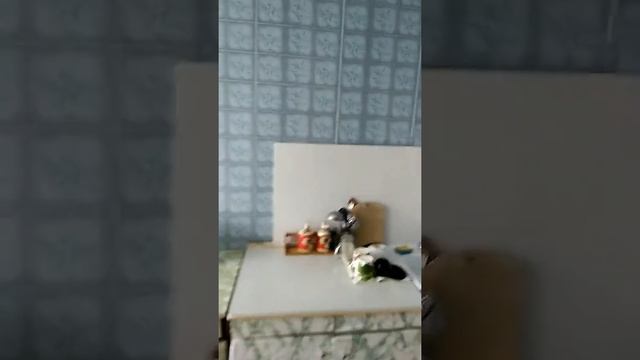 Сдам посуточно круглосуточно по ул, Ленина 151 смотреть онлайн