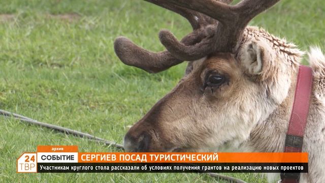 Новые возможности развития туристической сферы в Сергиевом Посаде смотреть онлайн