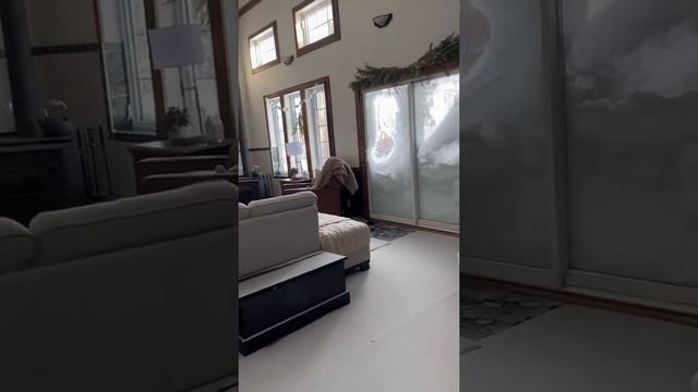 Когда забыли закрыть окно на ночь🤣🤣🤣 смотреть онлайн