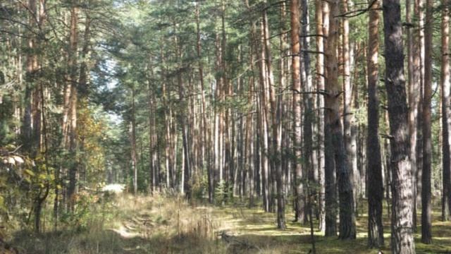 "12 месяцев с Группой Рыжавского". 2017 г. смотреть онлайн