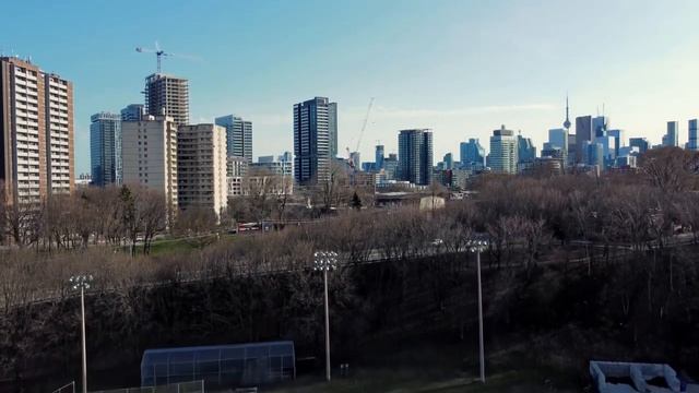 Essential Stocks for Any Investment Portfolio смотреть онлайн