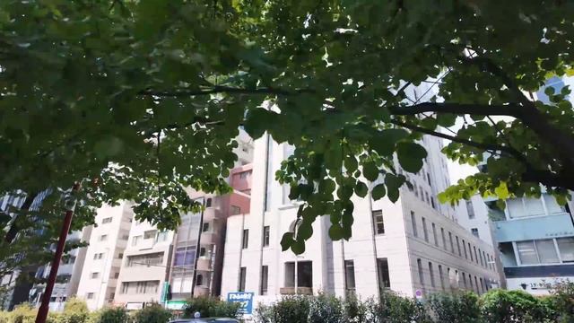 Самая большая школа японского языка в Японии - ISI Shinjuku