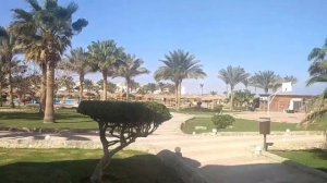 Мини обзор на отель в Египте. The Three Corners Sea Beach Resort