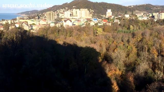 290 смотреть онлайн