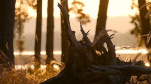 Пьяный сын залез в спальню матери среди ночи.. Мать вцепилась в халат и лишь молилась!