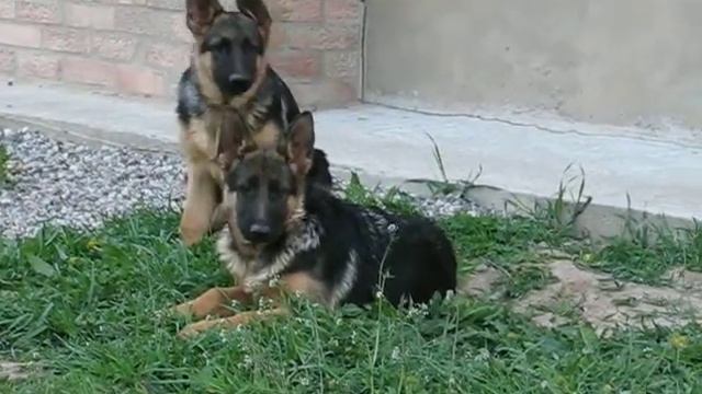 Еще Гжель смотреть онлайн