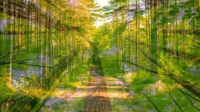 Лариса услышала голос мужа из детской "Маме не говори!" Зашла внутрь и онемела от увиденного смотреть онлайн