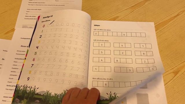 КАК УСТРОЕНА ШКОЛА В ШВЕЦИИ. НУЛЕВОЙ КЛАСС. Часть 1 #travel #stockholm #школа смотреть онлайн